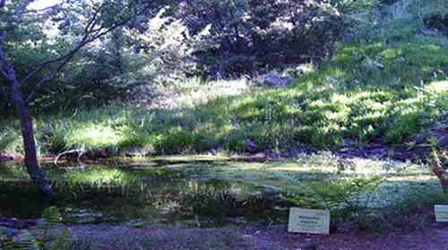 Hoya de Pedraza Botanical Garden