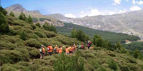 Circuito fuente alta