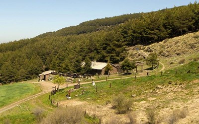 caja-suertes-gr1.jpg