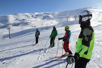 IMG 0175
