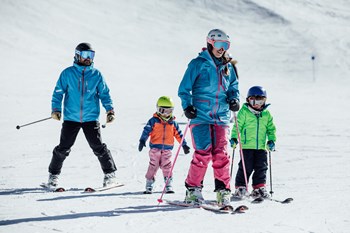 Familia CAR 4639