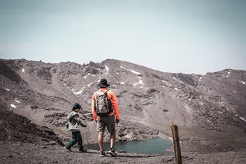 Sierra Nevada Verano 2825