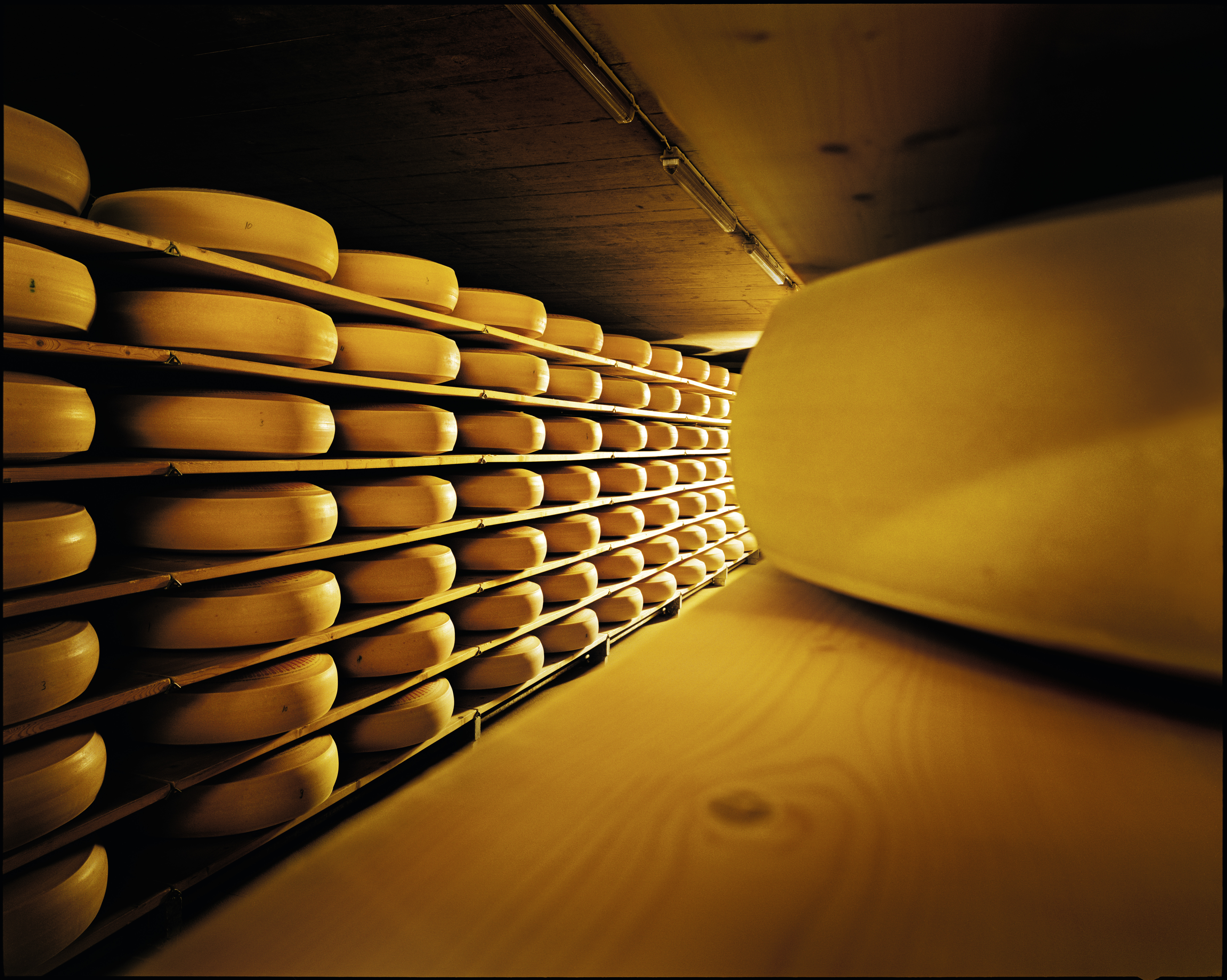 Emmentaler AOP Elaboración