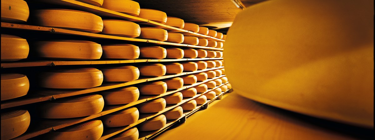 Emmentaler AOP Elaboración