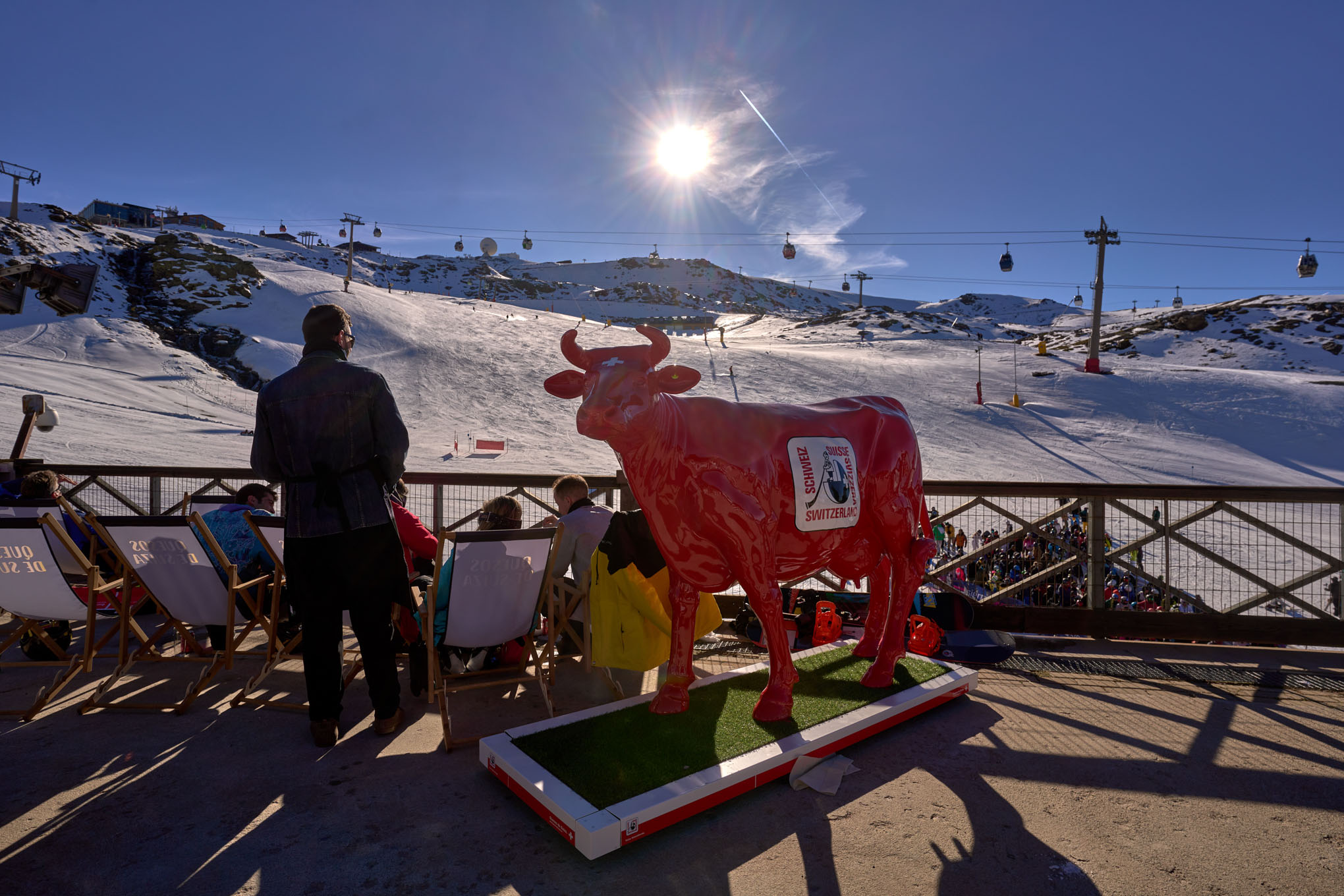 Quesos De Suiza Ulled SAN2517