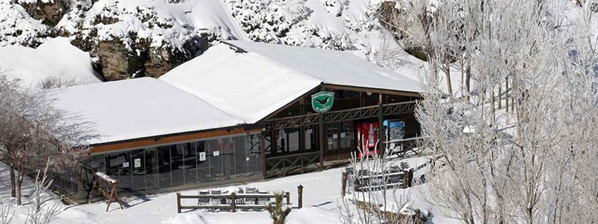 Foto1-Cabaña-Mirlo.jpg