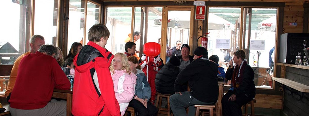Foto2-Mirlo.jpg