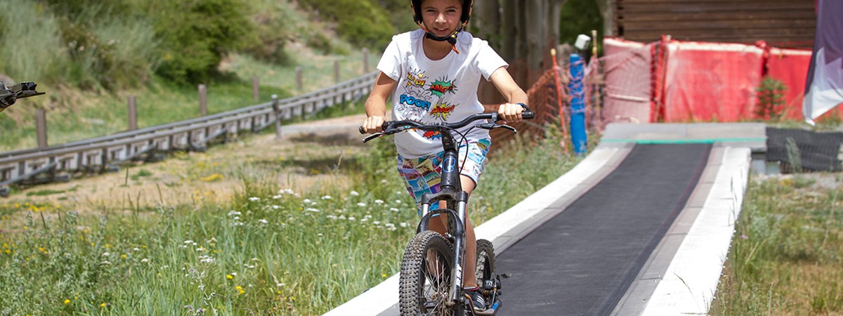 banner_mirlo_bici_cinta.jpg